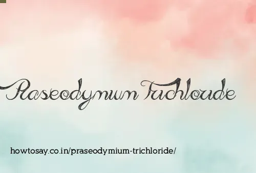 Praseodymium Trichloride