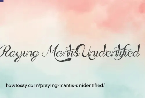 Praying Mantis Unidentified
