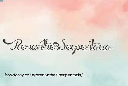 Prenanthes Serpentaria
