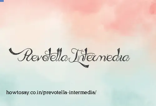 Prevotella Intermedia
