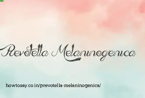 Prevotella Melaninogenica