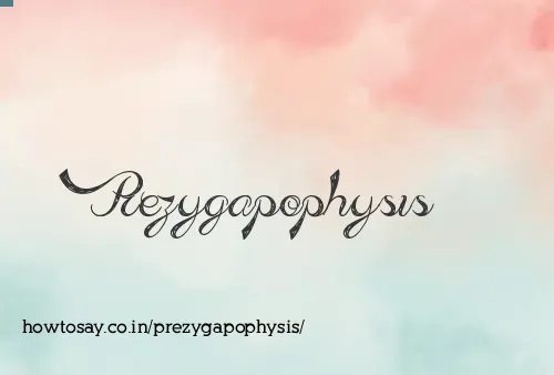 Prezygapophysis