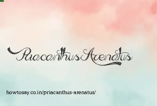 Priacanthus Arenatus