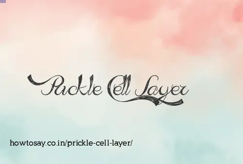 Prickle Cell Layer