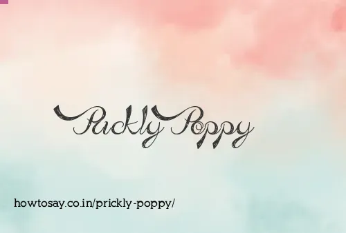 Prickly Poppy
