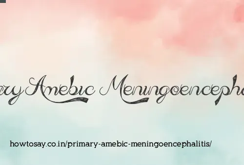 Primary Amebic Meningoencephalitis