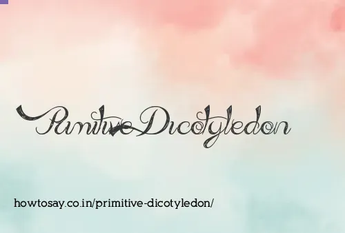Primitive Dicotyledon