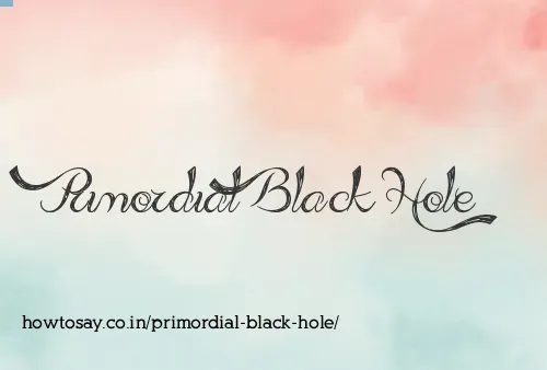 Primordial Black Hole