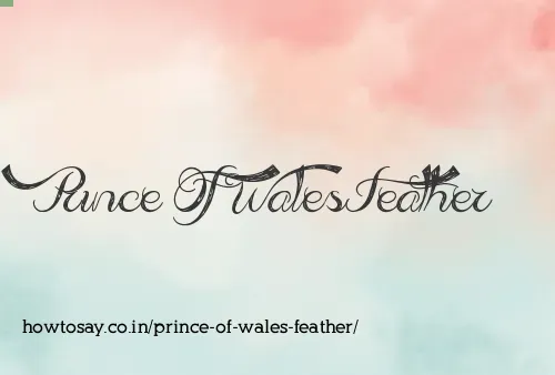 Prince Of Wales Feather