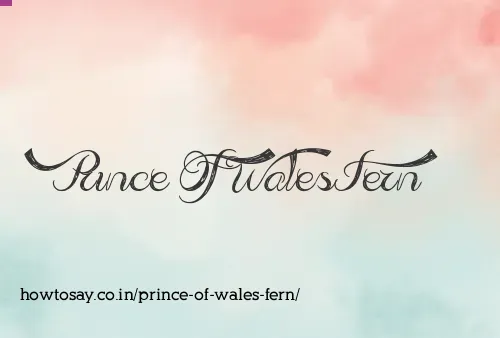 Prince Of Wales Fern