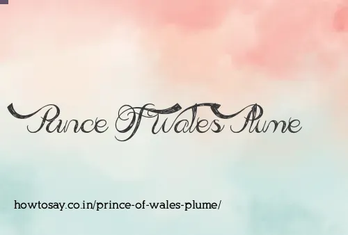 Prince Of Wales Plume