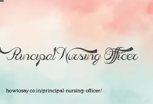 Principal Nursing Officer