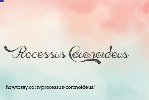 Processus Coronoideus