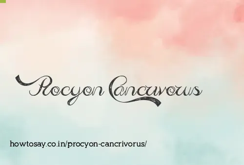 Procyon Cancrivorus