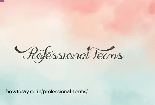 Professional Terms