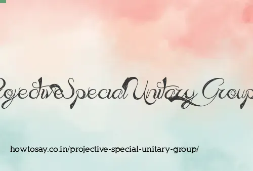 Projective Special Unitary Group