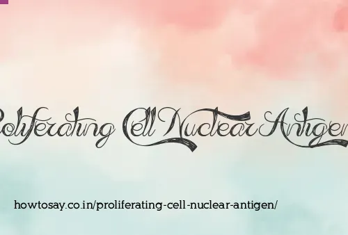 Proliferating Cell Nuclear Antigen