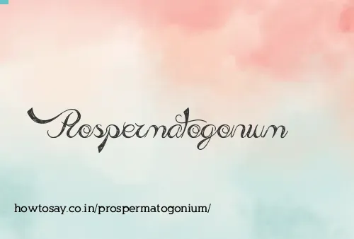 Prospermatogonium