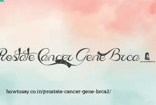Prostate Cancer Gene Brca2
