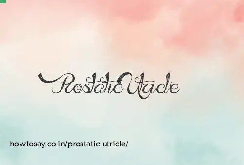 Prostatic Utricle