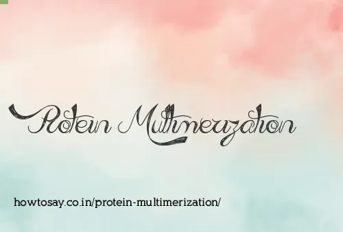 Protein Multimerization