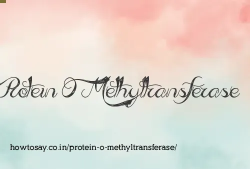 Protein O Methyltransferase