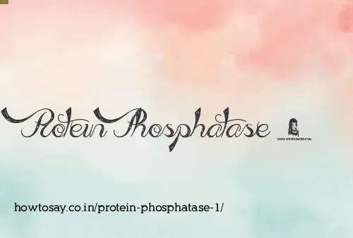 Protein Phosphatase 1