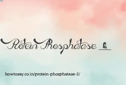 Protein Phosphatase 2