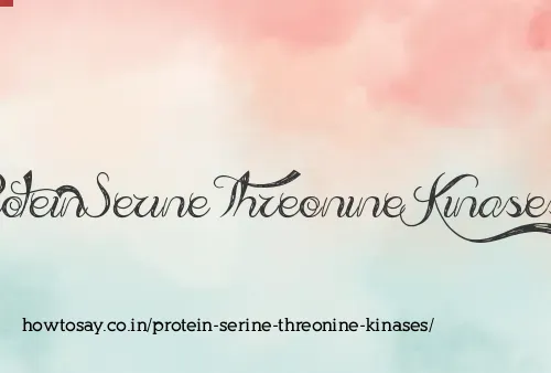 Protein Serine Threonine Kinases