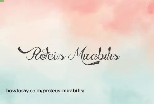 Proteus Mirabilis