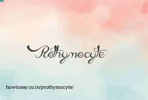 Prothymocyte