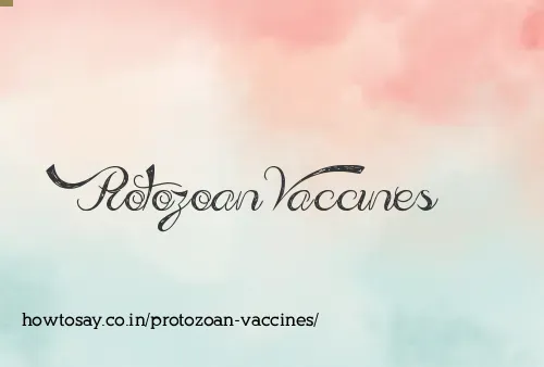 Protozoan Vaccines