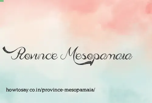 Province Mesopamaia