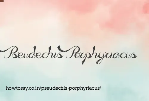 Pseudechis Porphyriacus
