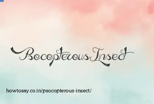 Psocopterous Insect