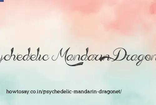 Psychedelic Mandarin Dragonet