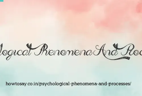 Psychological Phenomena And Processes
