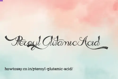 Pteroyl Glutamic Acid