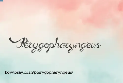 Pterygopharyngeus