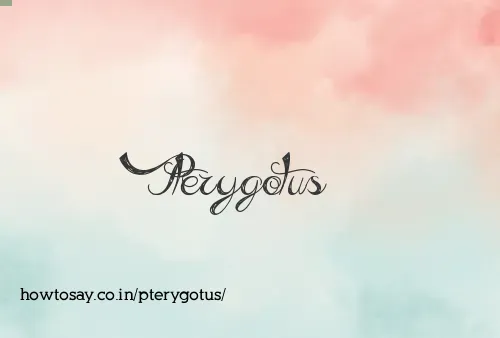 Pterygotus
