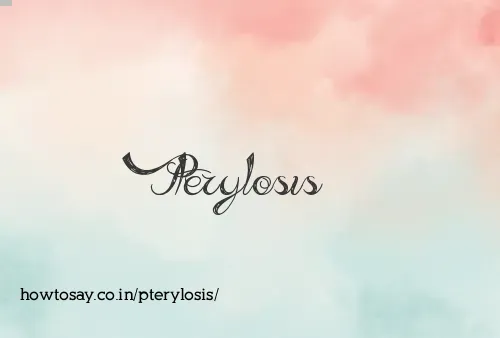 Pterylosis