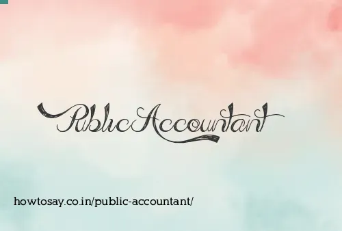 Public Accountant