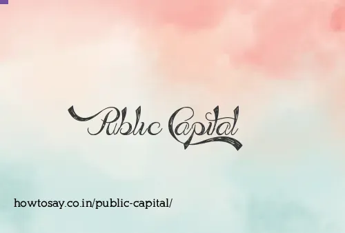 Public Capital