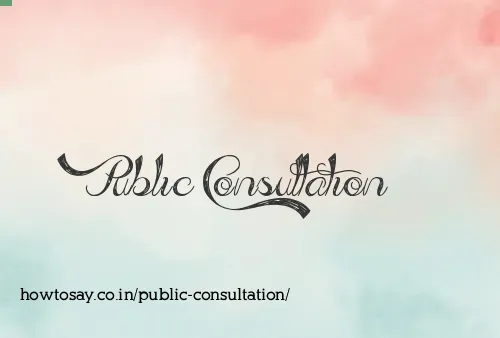 Public Consultation