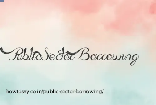 Public Sector Borrowing