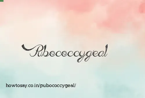 Pubococcygeal