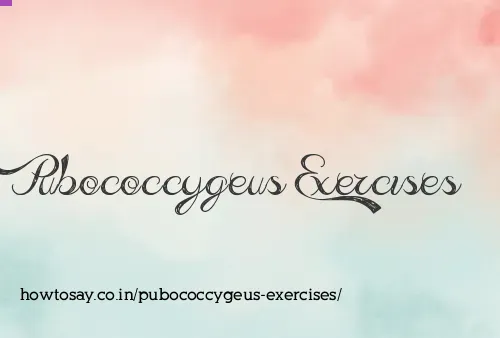 Pubococcygeus Exercises