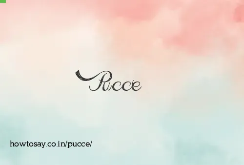 Pucce