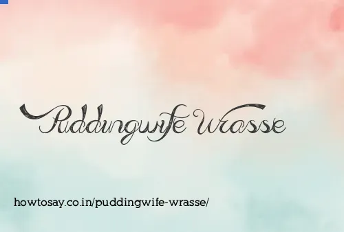 Puddingwife Wrasse