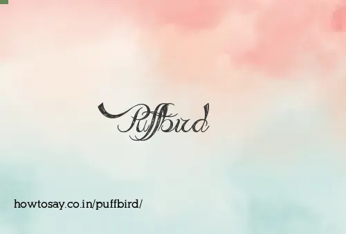 Puffbird